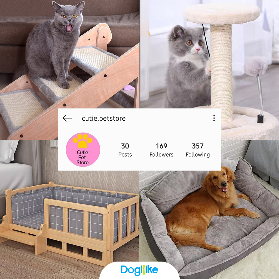 Dogilike.com :: Review 10 ҹ ѡ觺ҹҡ Instagram 