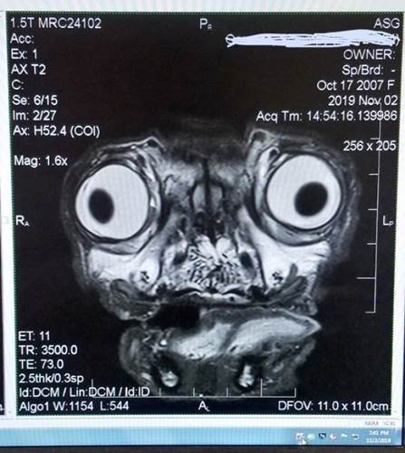 Dogilike.com :: ˹Ҿ MRI һشѡ 絺͡ 駹ѡ͹!