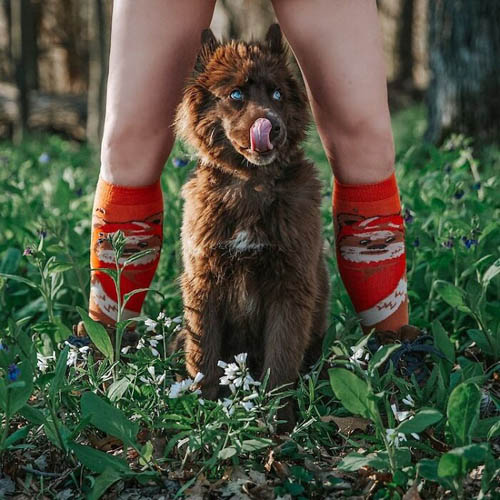 Dogilike.com :: µ֧! 䫺¹ չӵšѺԹҧ 48 ͧѰ