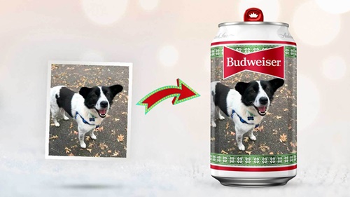 Dogilike.com :: Ѵ͹Ѻȡ Ҿҵٺ价ºлͧ! 