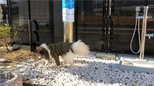 Dogilike.com :: ʹԹԴ⫹ѡ͹ҵٺ Ŵ´͹Թҧ!