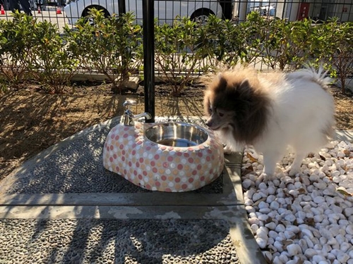 Dogilike.com :: ʹԹԴ⫹ѡ͹ҵٺ Ŵ´͹Թҧ!