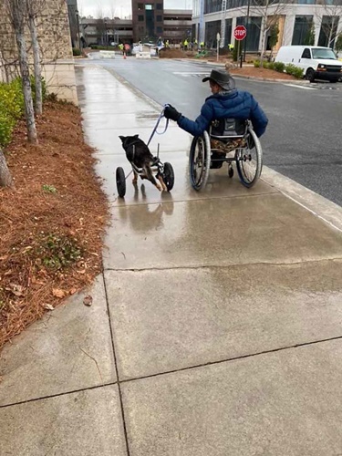 Dogilike.com :: ͹ѹ! ˹Ѻ§ٺҵõͧ