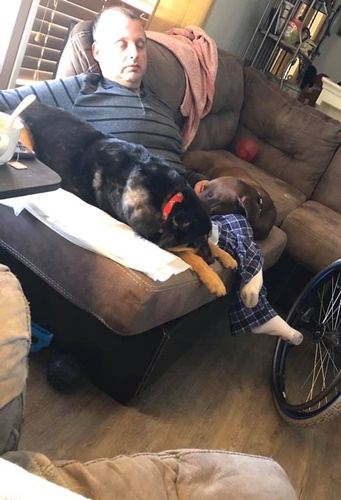 Dogilike.com :: ͹ѹ! ˹Ѻ§ٺҵõͧ