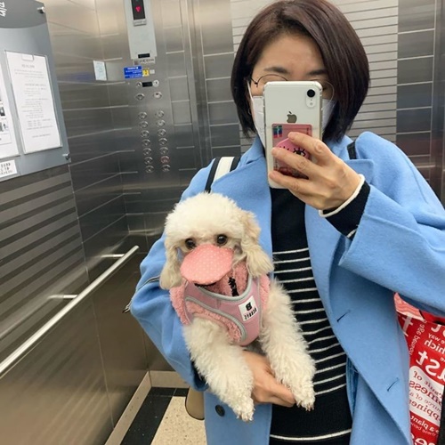 Dogilike.com :: չ觫˹ҡҡͧѹعѢ 蹵Դù!