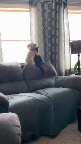 Dogilike.com :: ѡش! ¤Իͺ١ͺǾҡѹ觴ٹ