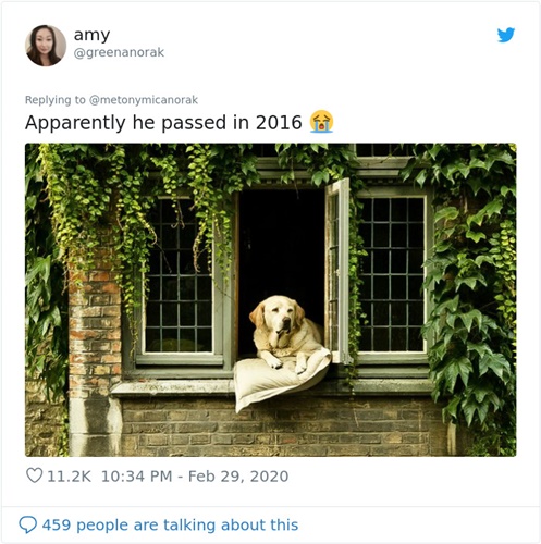 Dogilike.com :: ѡͧǴٻ¹ͧҢҧ˹ҵҧҡ!