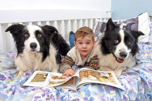 Dogilike.com :: ͧǹѡ! ˹ٹ 2 Ǻյٺ繤ٵǵԴѹ觡Ҿͧ