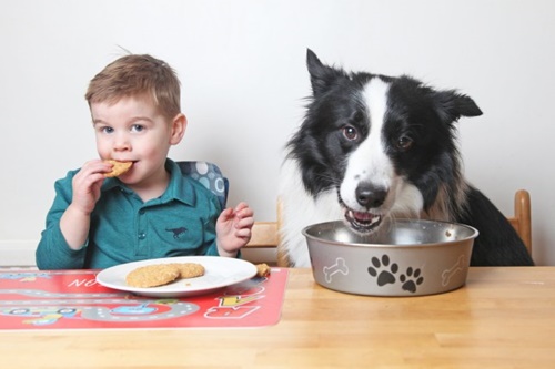 Dogilike.com :: ͧǹѡ! ˹ٹ 2 Ǻյٺ繤ٵǵԴѹ觡Ҿͧ