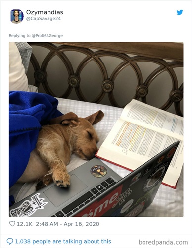 Dogilike.com :: Ҩѡ֡ٻѵ§¹ҹ 30 Ẻ!