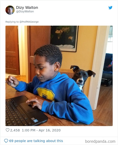 Dogilike.com :: Ҩѡ֡ٻѵ§¹ҹ 30 Ẻ!