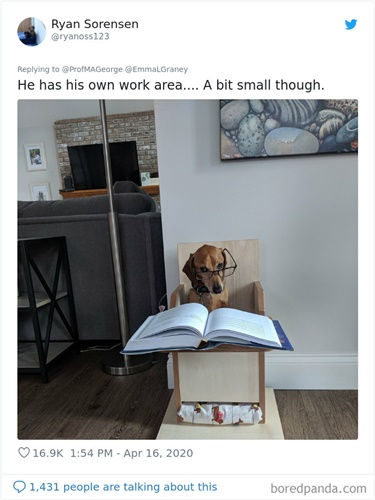 Dogilike.com :: Ҩѡ֡ٻѵ§¹ҹ 30 Ẻ!