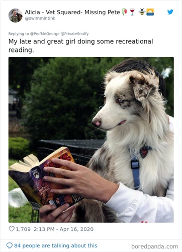 Dogilike.com :: Ҩѡ֡ٻѵ§¹ҹ 30 Ẻ!