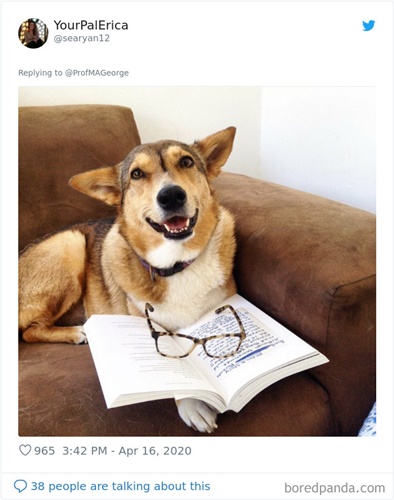 Dogilike.com :: Ҩѡ֡ٻѵ§¹ҹ 30 Ẻ!
