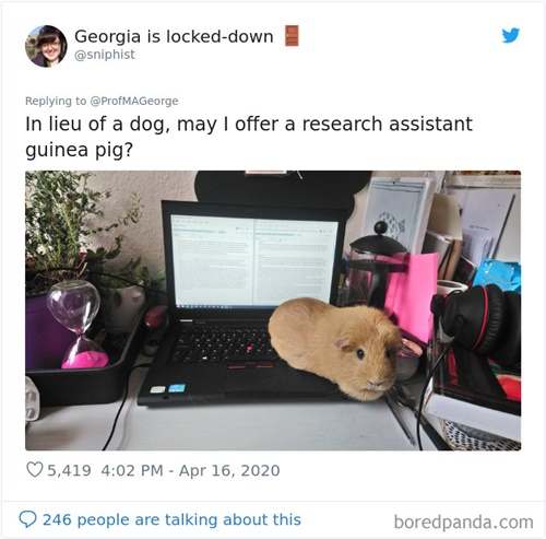 Dogilike.com :: Ҩѡ֡ٻѵ§¹ҹ 30 Ẻ!