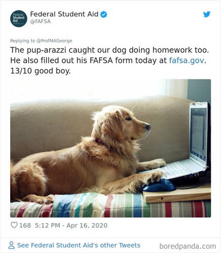 Dogilike.com :: Ҩѡ֡ٻѵ§¹ҹ 30 Ẻ!