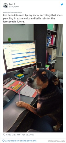 Dogilike.com :: Ҩѡ֡ٻѵ§¹ҹ 30 Ẻ!