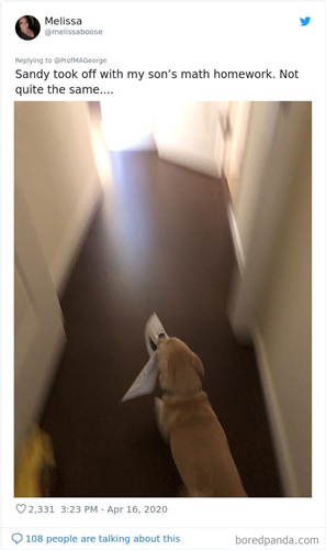 Dogilike.com :: Ҩѡ֡ٻѵ§¹ҹ 30 Ẻ!