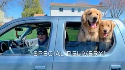Dogilike.com :: ѡ! 2 ѡҹҡѺ˹ҷ١ҪǧԴ-19