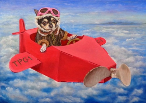 Dogilike.com :: ǻ«Ҵٻҷͧ价ҧ ҧçѹ