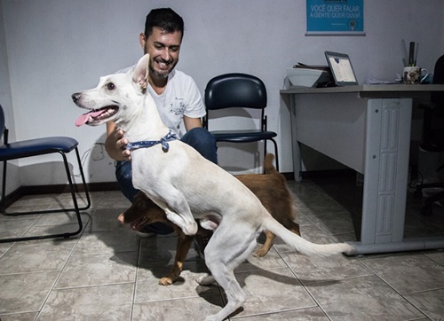 Dogilike.com :: TinTin หมาขาพิการถูกเจ้าของทอดทิ้ง วันนี้ได้บ้านใหม่แล้ว!