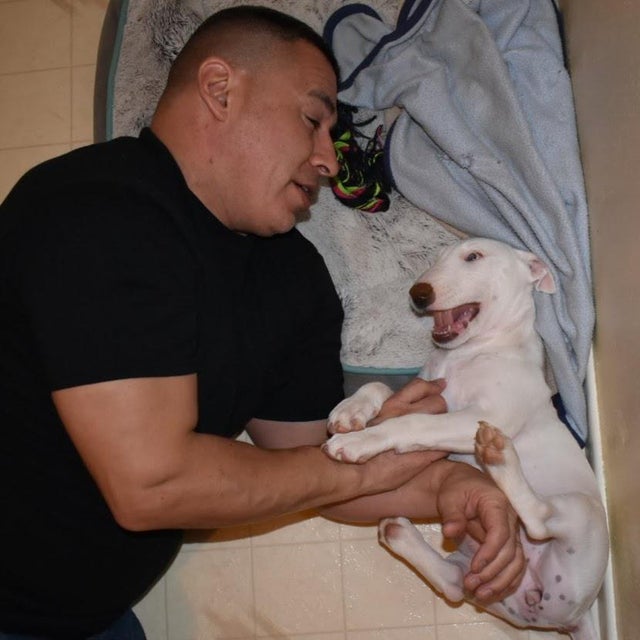 Dogilike.com :: Ūǹ! Ҿ س з͡Ҩ§