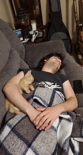 Dogilike.com :: Ūǹ! Ҿ س з͡Ҩ§