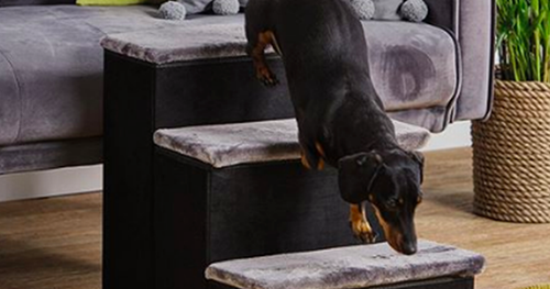 Dogilike.com :: ٺ鹶١觹! ѷ Aldi ԴǺѹ䴪ѵ§⫿