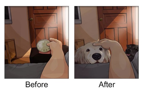Dogilike.com :: §! 20 Ҿ¹ŧ ͺҹѵ§