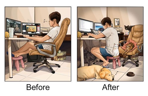 Dogilike.com :: §! 20 Ҿ¹ŧ ͺҹѵ§