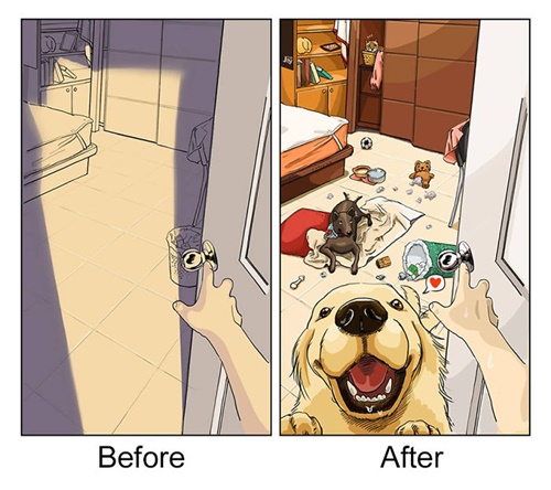 Dogilike.com :: §! 20 Ҿ¹ŧ ͺҹѵ§