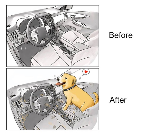 Dogilike.com :: §! 20 Ҿ¹ŧ ͺҹѵ§