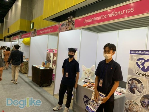 Dogilike.com :: Dogilike ҵ PET EXPO THAILAND 2020 !!