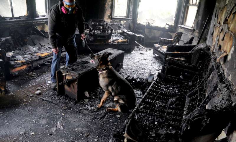 Dogilike.com ::  عѢ׺ѡҹҧԧ ?