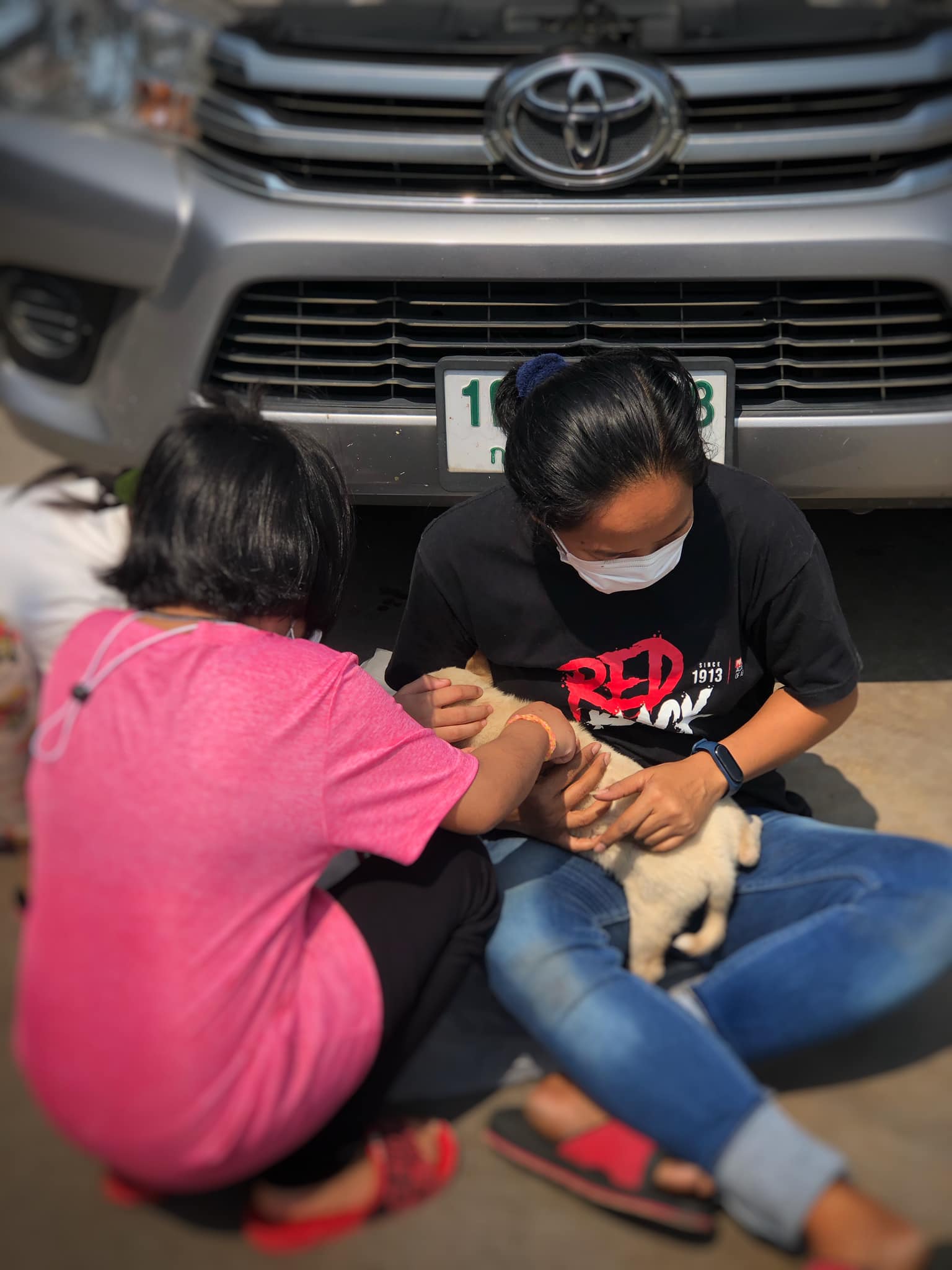 Dogilike.com :: น้องตูบโชคดี ติดใต้ท้องรถลากมาไกลกว่า 50 กิโล Dogilike.com :: น้องตูบโชคดี ติดใต้ท้องรถลากมาไกลกว่า 50 กิโล