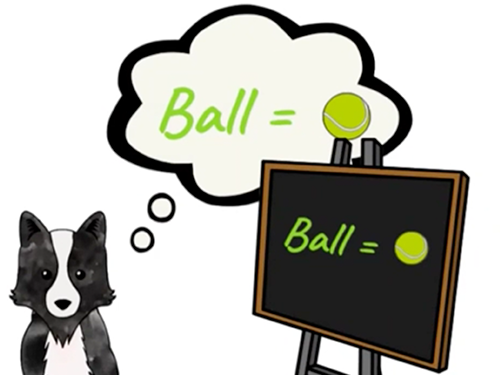 Dogilike.com ::   ¾ѹ٨ վä㹡è!