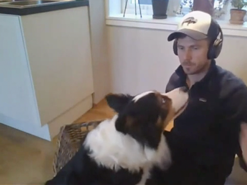 Dogilike.com ::   ¾ѹ٨ վä㹡è!