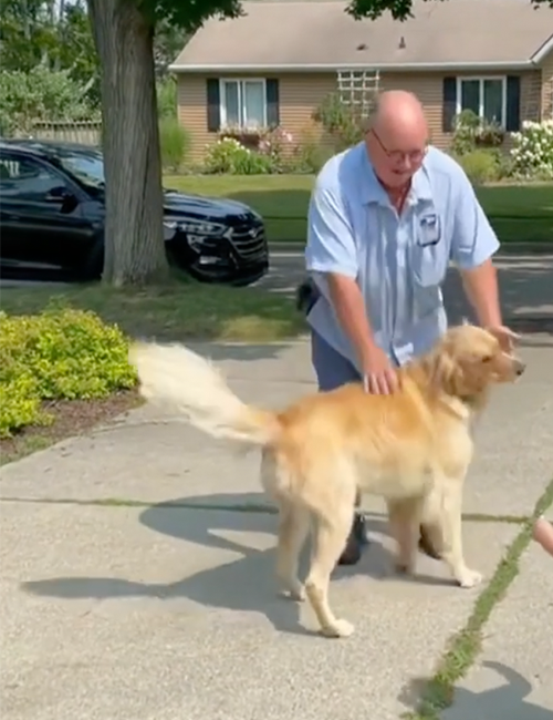 Dogilike.com ::  ͷѡºɳ줹ôءҹҹ 2 !