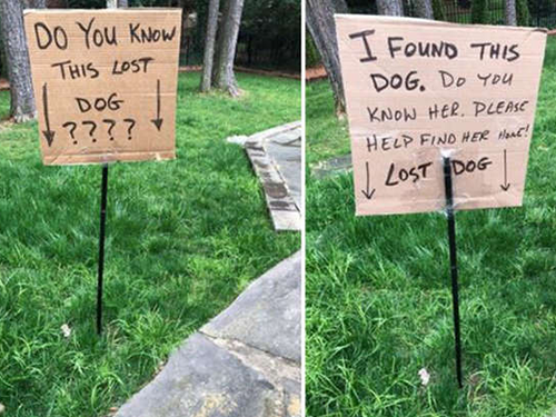 Dogilike.com :: ˹㨴׹ͻ¡дɵҢͧعѢŧҧ!