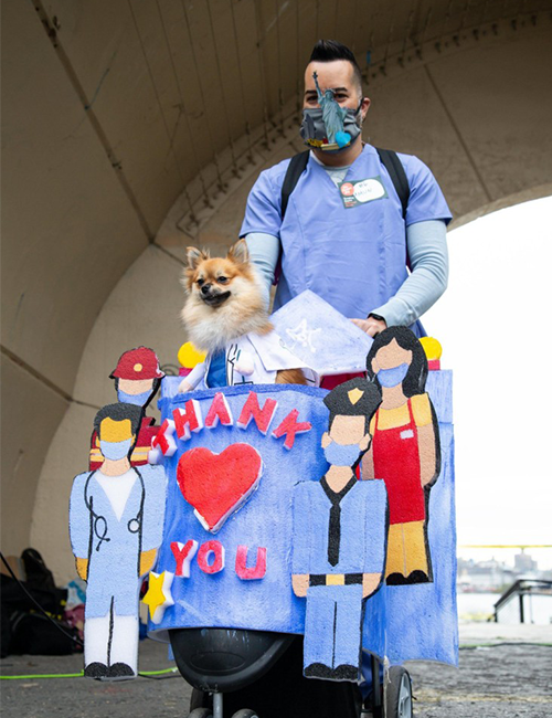 Dogilike.com :: ѹչ! 줨ѴСǴҵٺشΌ