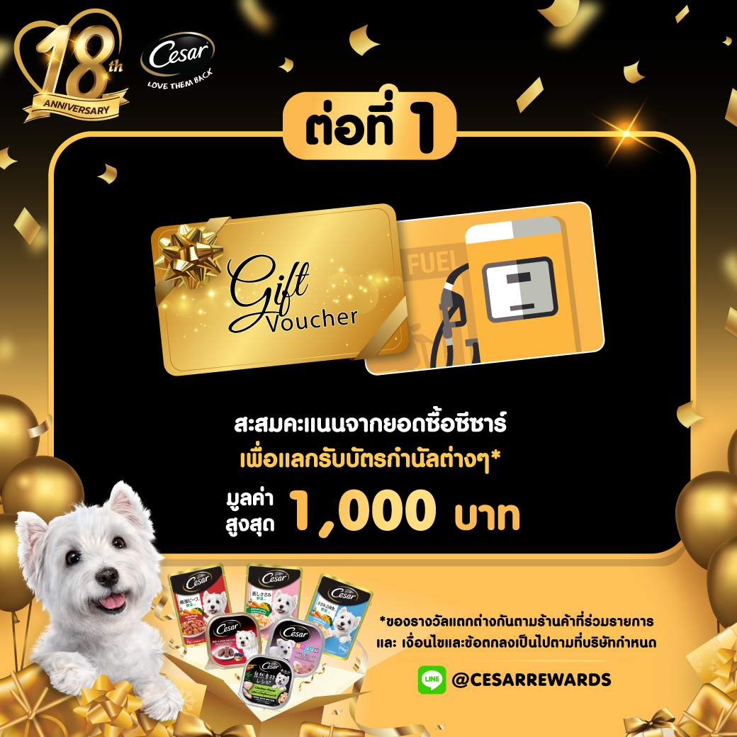 Dogilike.com :: իͧúͺ 18  Թṹšͧҧش
