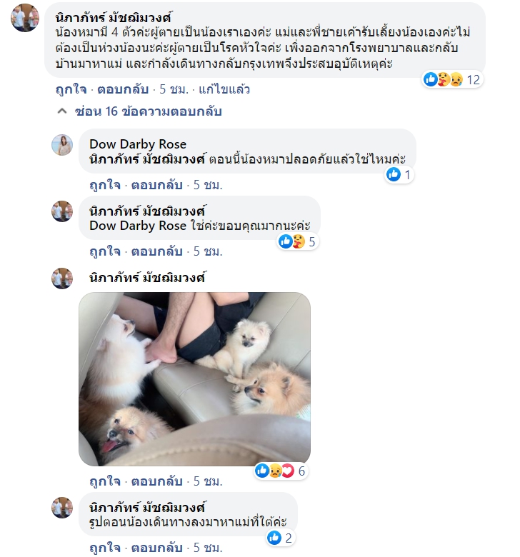 Dogilike.com :: ͹ öҢͧ Ҫ¹ͧһҧ