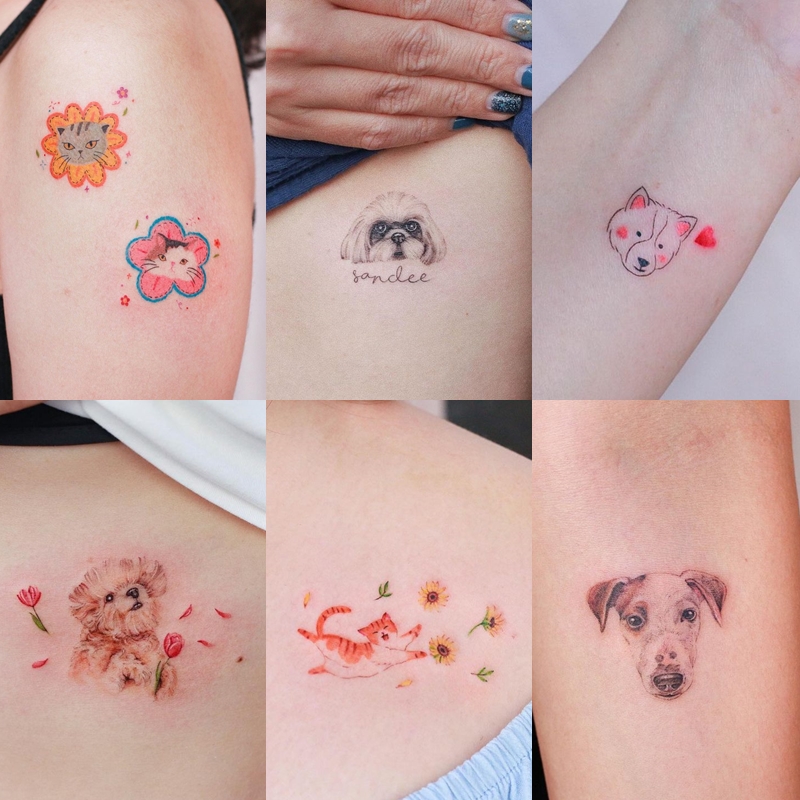 Dogilike.com :: 5 Tattoo Studio ѡ¹ͧ - ͧ !