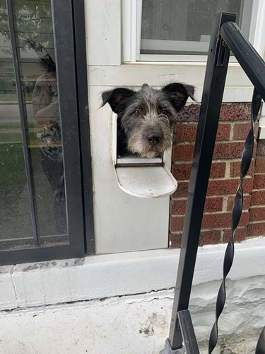 Dogilike.com :: Źѡ! ٺͷѡ¼餹ҹͧ