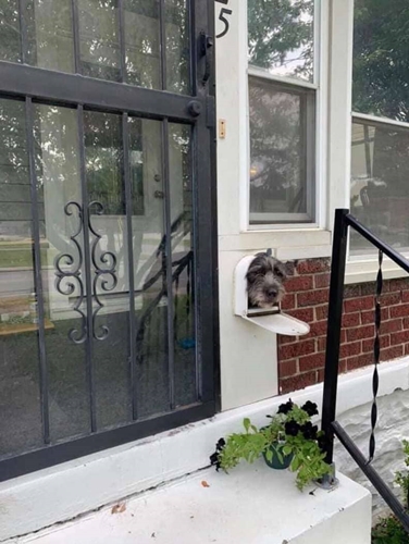 Dogilike.com :: Źѡ! ٺͷѡ¼餹ҹͧ