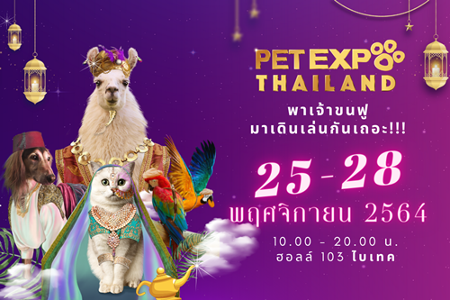 Dogilike.com :: ��������Ѻ�ҹ Pet Expo Thailand 2021 �ҹ�ͧ���ѡ�ѵ������§