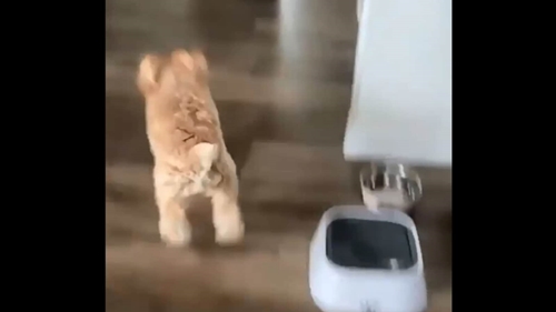 Dogilike.com :: Իѡ! ٺԴ֧Ңͧ ˹ 3 ѹ ͹ 3 