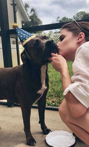 Dogilike.com :: พี่หมาแสนรู้คาบหมอนไปให้หนูน้อยทุกครั้งที่ได้ยินเสียงร้องไห้!