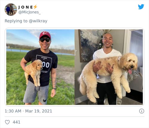 Dogilike.com :: ǷԵ ҡѹǴҾѲҡâͧٺ硨