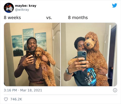 Dogilike.com :: ǷԵ ҡѹǴҾѲҡâͧٺ硨